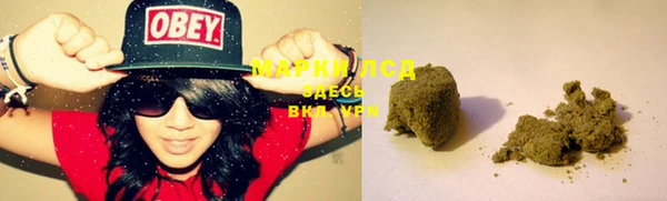 гидра Белоозёрский