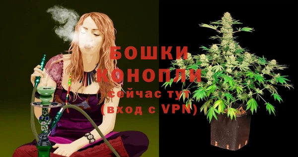 метадон Белокуриха