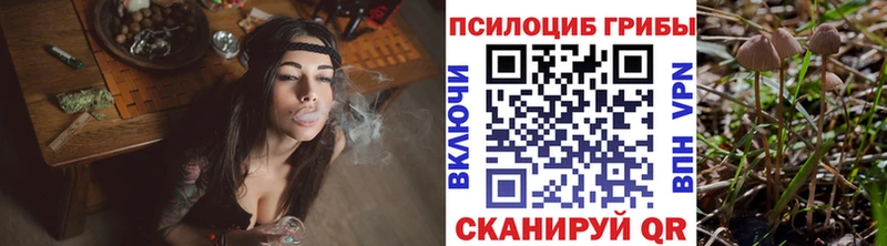 цены наркотик Нижняя Тура Галлюциногенные грибы мицелий